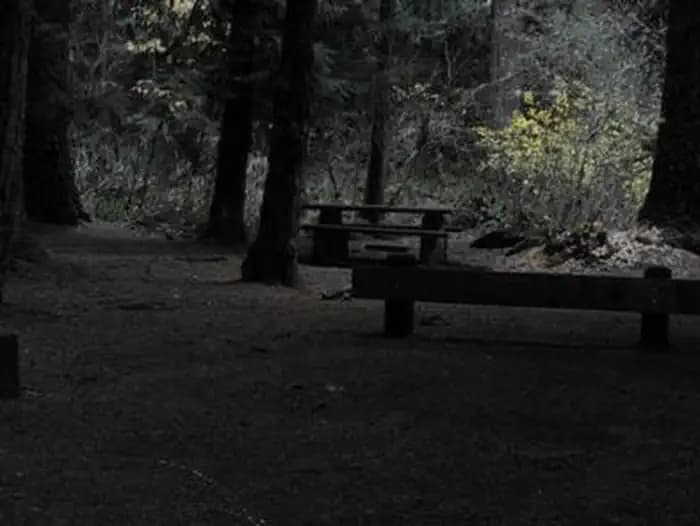 LIMBERLOST CAMPGROUND campground in Oregon