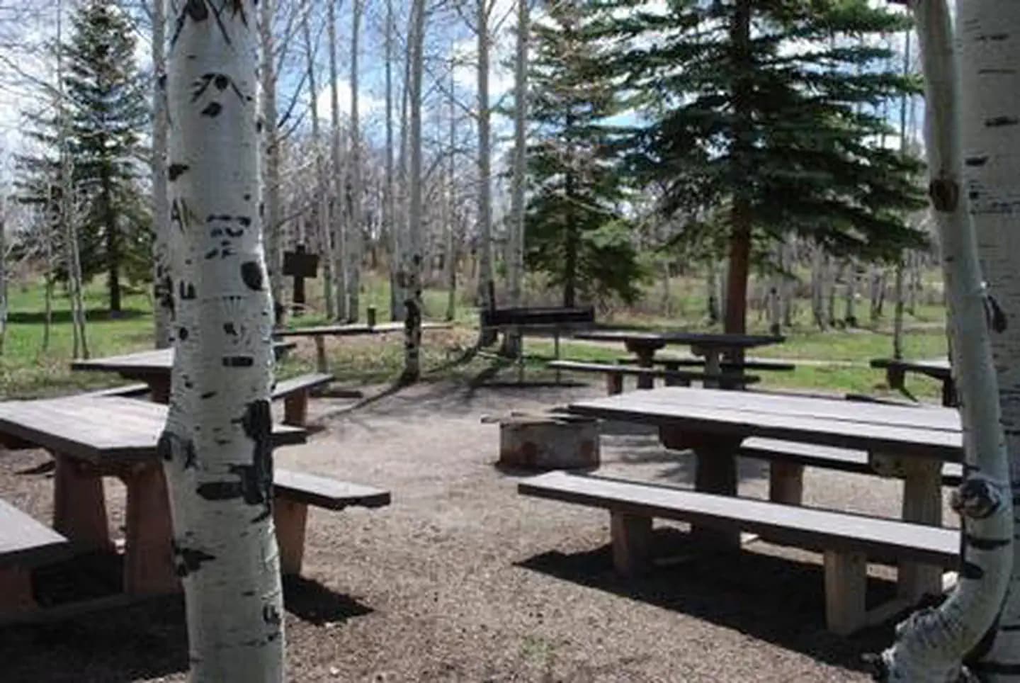 Transfer Campground campground in Colorado