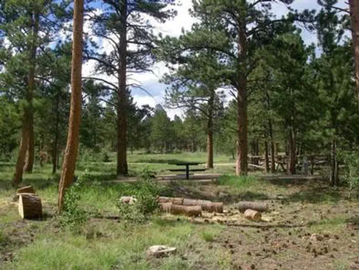 JACKS GULCH campground in Colorado