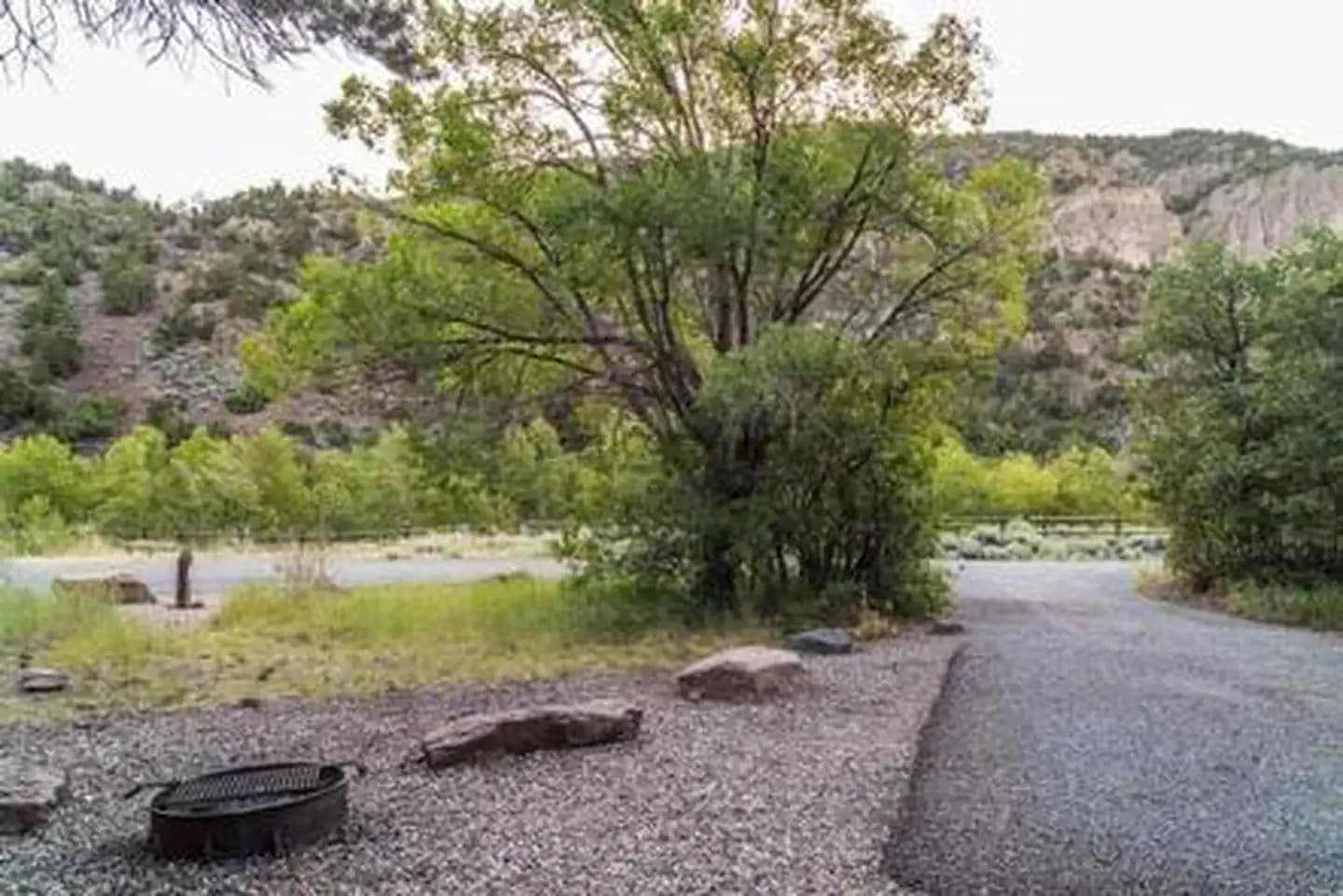 LITTLE COTTONWOOD CAMPGROUND campground in Utah