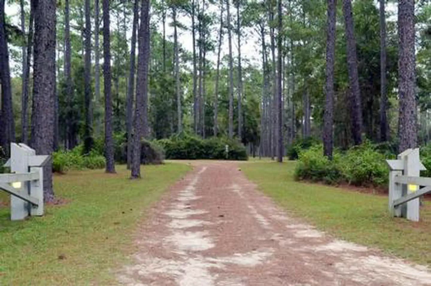 WRIGHT LAKE CAMPGROUND campground in Florida