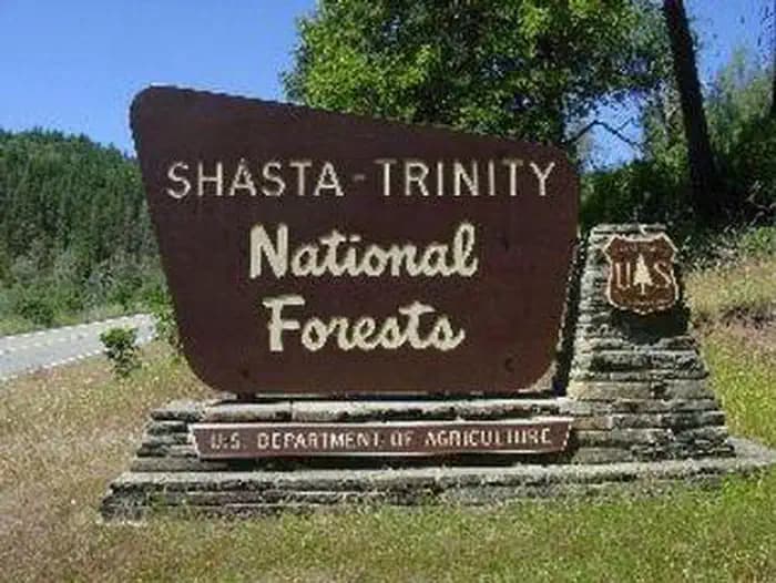 FAWN  campground in California