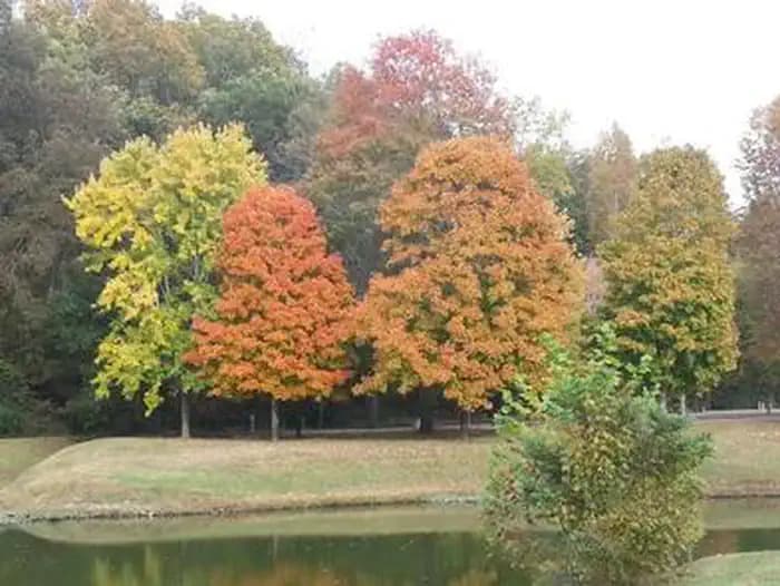 LOCK A campground in Tennessee