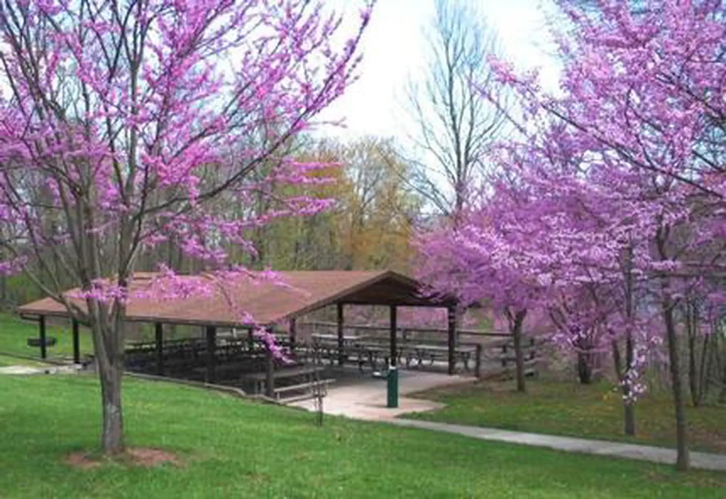Seven Points Picnic Shelters campground