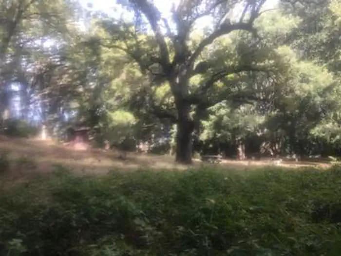 WHITE OAKS CAMPGROUND campground in US