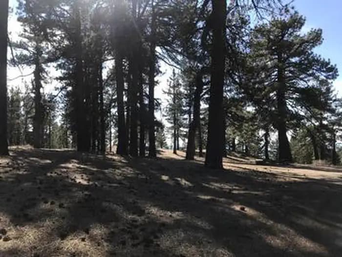 CAMPO ALTO CAMPGROUND campground in US