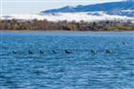Chatfield State Park Campground in Colorado