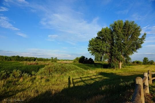 Cherry Creek State Park Campground in Colorado