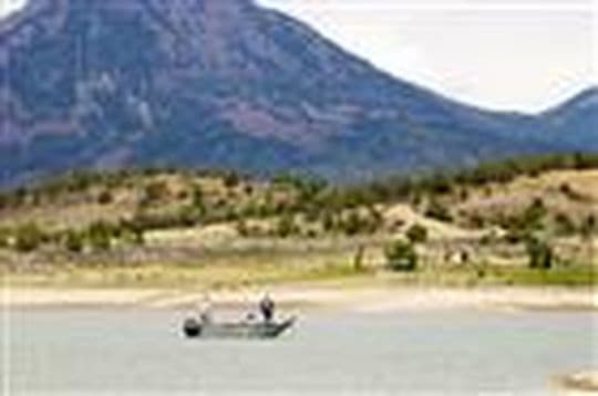 Crawford State Park Campground in Colorado