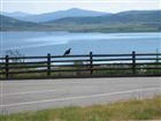 Vega State Park Campground in Colorado