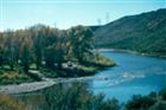 Yampa River State Park Campground in Colorado
