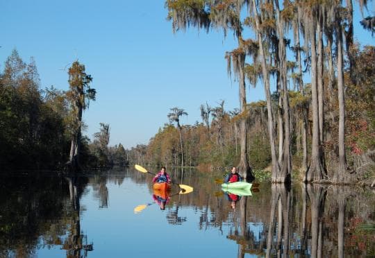 Stephen C Foster State Park Campground in Georgia