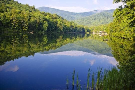 Vogel State Park Campground in Georgia