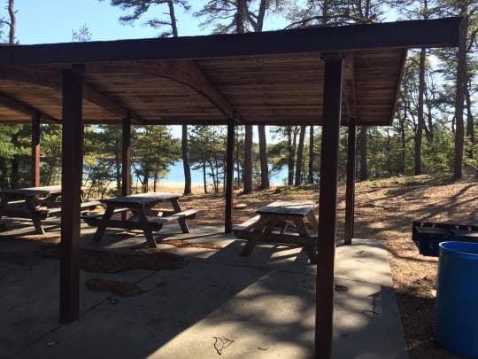 Myles Standish State Forest Campground in Massachusetts