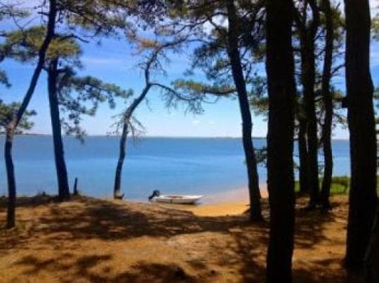 Washburn Island - Waquoit Bay Reserve Campground in Massachusetts