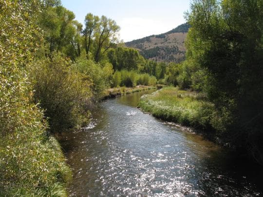 Bannack State Park Campground in Montana