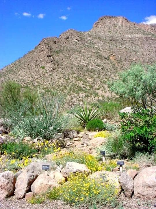 Oliver Lee Memorial Campground in New Mexico