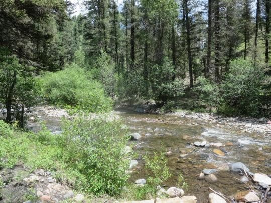 Pecos Canyon State Park Campground in New Mexico