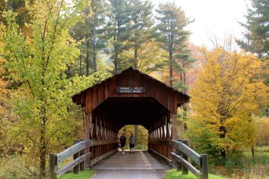 Allegany State Park Campground in New York