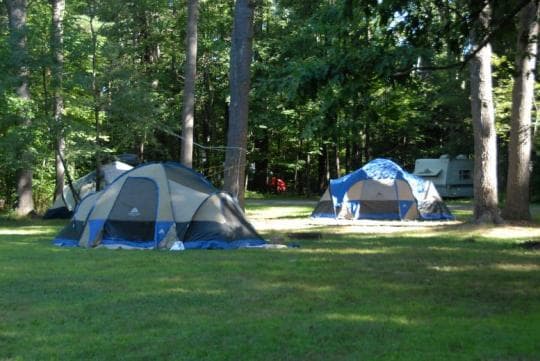 Chenango Valley State Park Campground in New York