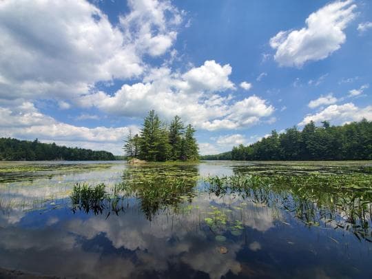 Putnam Pond Campground in New York