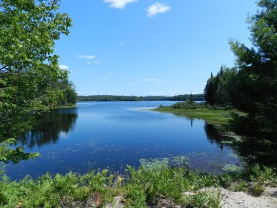 Rollins Pond Campground in New York