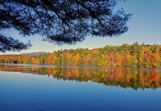 Lincoln Pond Campground in New York