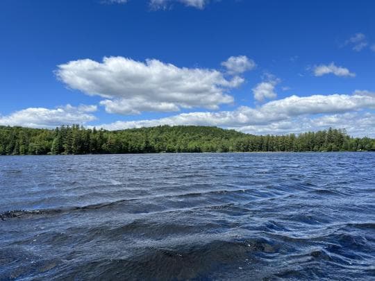 Brown Tract Pond Campground in New York