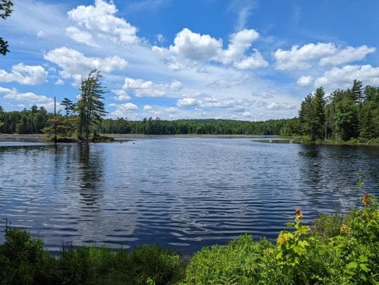 Cranberry Lake Campground in New York