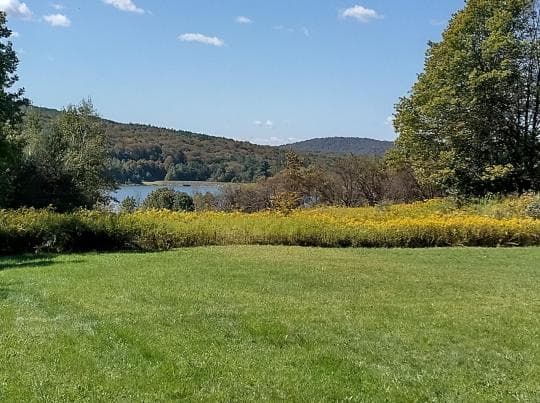 Oquaga Creek State Park Campground in New York