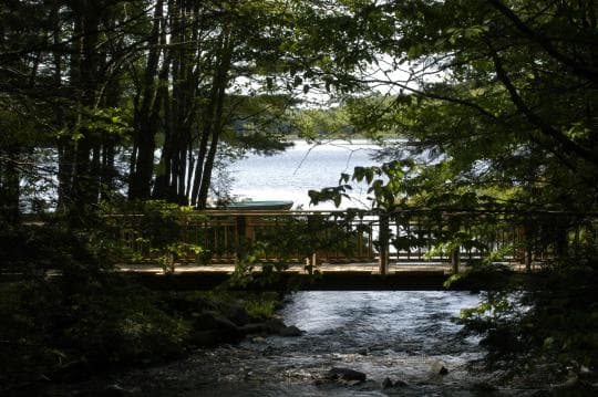 Cherry Plain State Park Campground in New York