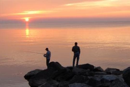 Selkirk Shores State Park Campground in New York