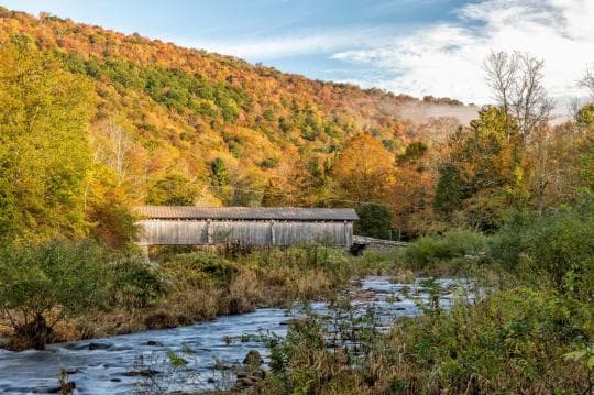 Beaverkill Campground in New York