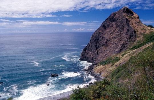 Humbug Mountain State Park Campground in Oregon