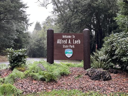 Alfred a. Loeb State Park Campground in Oregon
