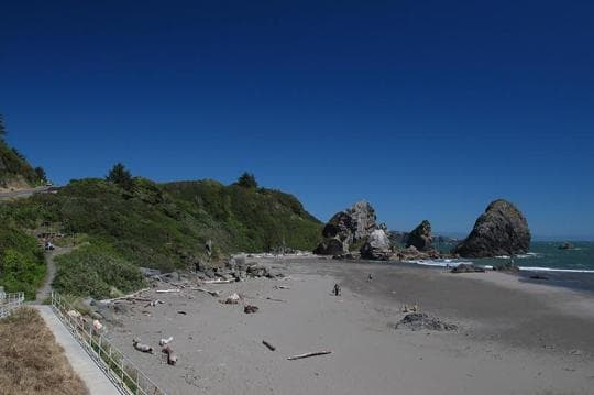 Harris Beach State Park Campground in Oregon