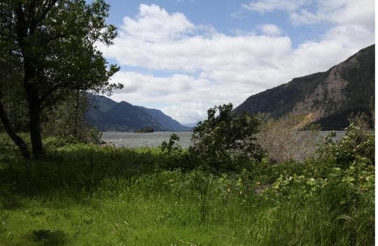 Viento State Park Campground in Oregon