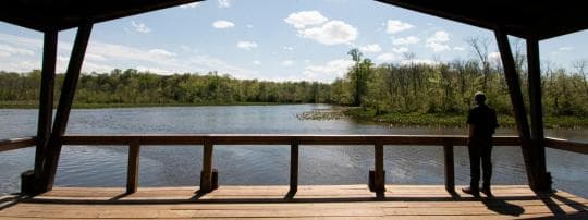 Martinak State Park Campground in Maryland