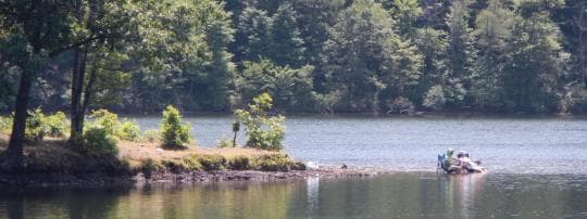 Rocky Gap State Park Campground in Maryland