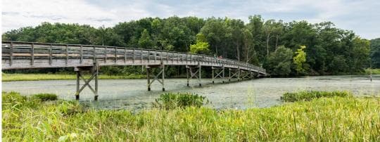 Smallwood State Park Campground in Maryland