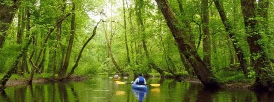 Tuckahoe State Park Campground in Maryland