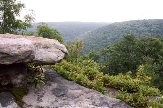 Forbes State Forest Campground in Pennsylvania