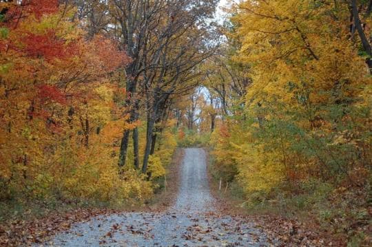 Michaux State Forest Campground in Pennsylvania
