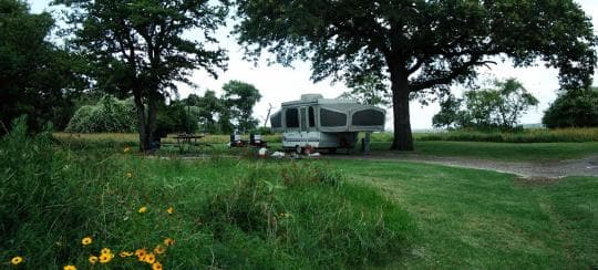 Lake Somerville State Park Birch Creek Campground in Texas