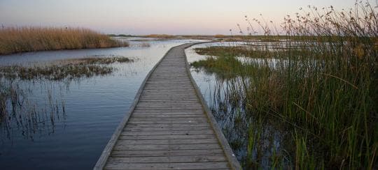 Sea Rim State Park Campground in Texas