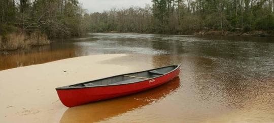 Village Creek State Park Campground in Texas
