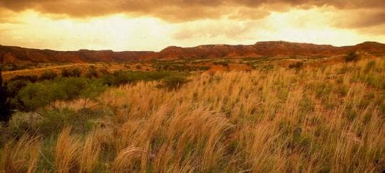 Caprock Canyons State Park and Trailway Campground in Texas