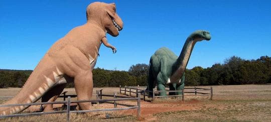 Dinosaur Valley State Park Campground in Texas