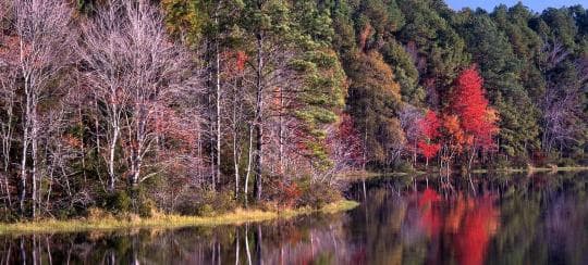 Daingerfield State Park Campground in Texas