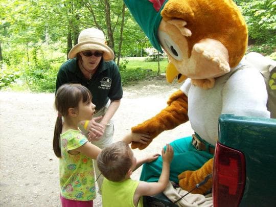 Woodford State Park Campground in Vermont